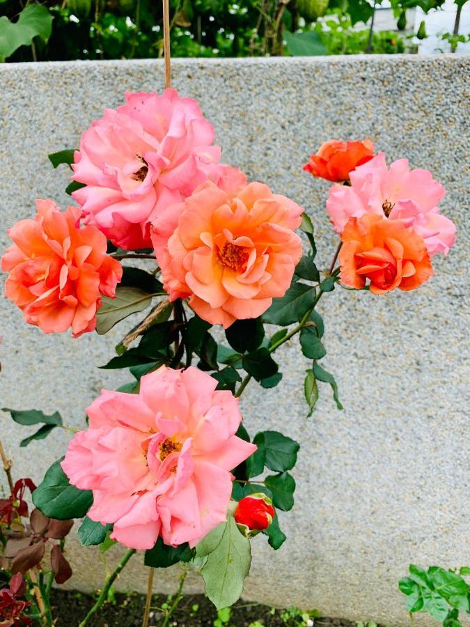 Jifun Flower Meanings Ji'an Exterior photo